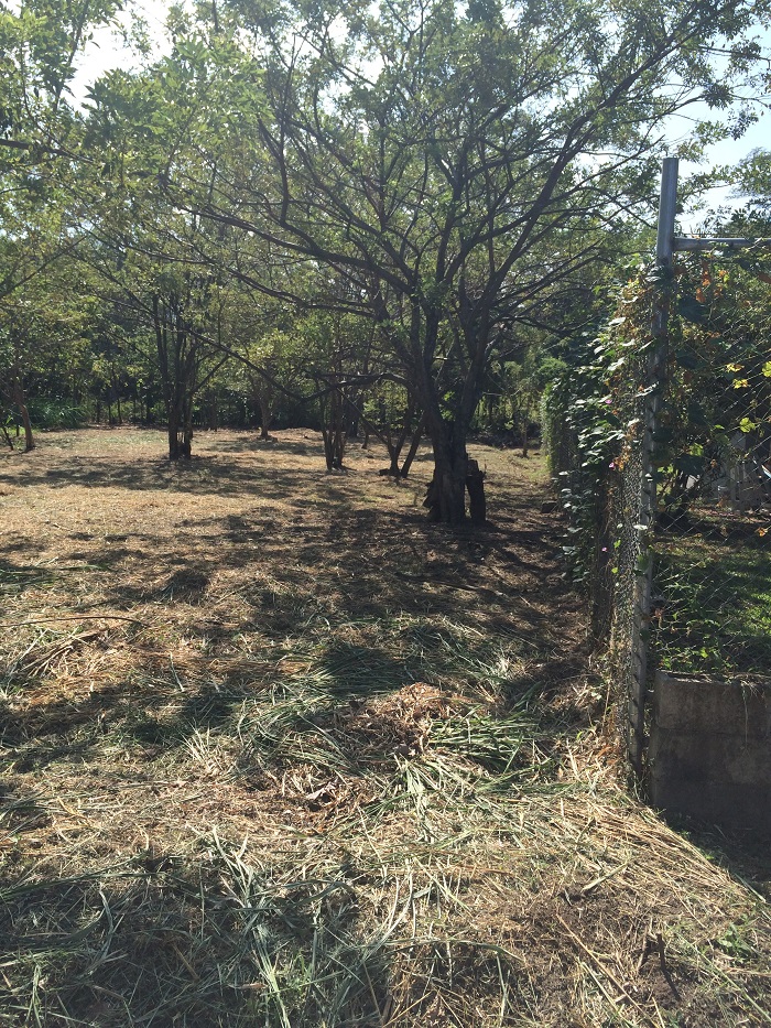 0 bed Land For Sale in Santa Ana, San Jose - thumb 5