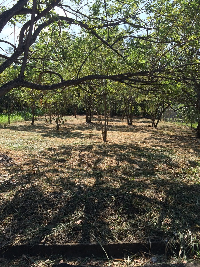 0 bed Land For Sale in Santa Ana, San Jose - thumb 6