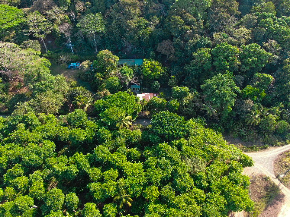 0 bed Land For Sale in Cabo Matapalo, Puntarenas - thumb 8