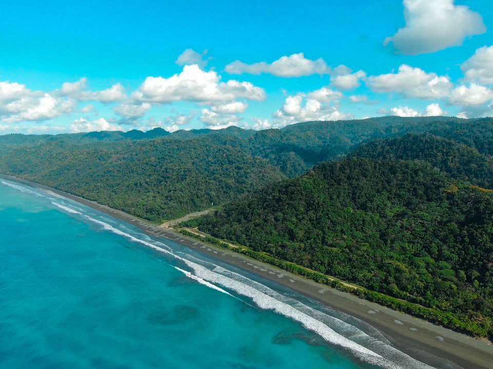 0 bed Land For Sale in Cabo Matapalo, Puntarenas - thumb 12