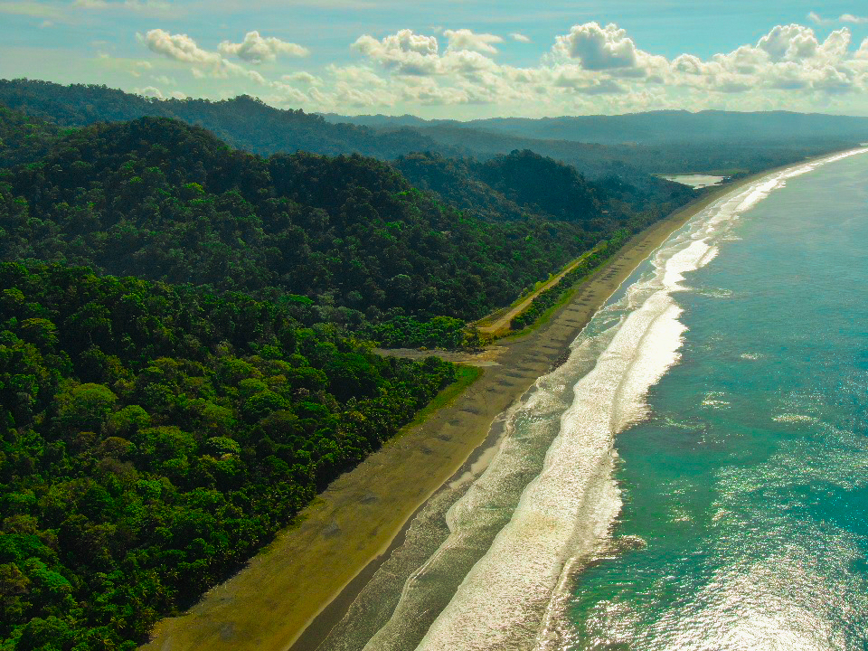 0 bed Land For Sale in Cabo Matapalo, Puntarenas - thumb 17