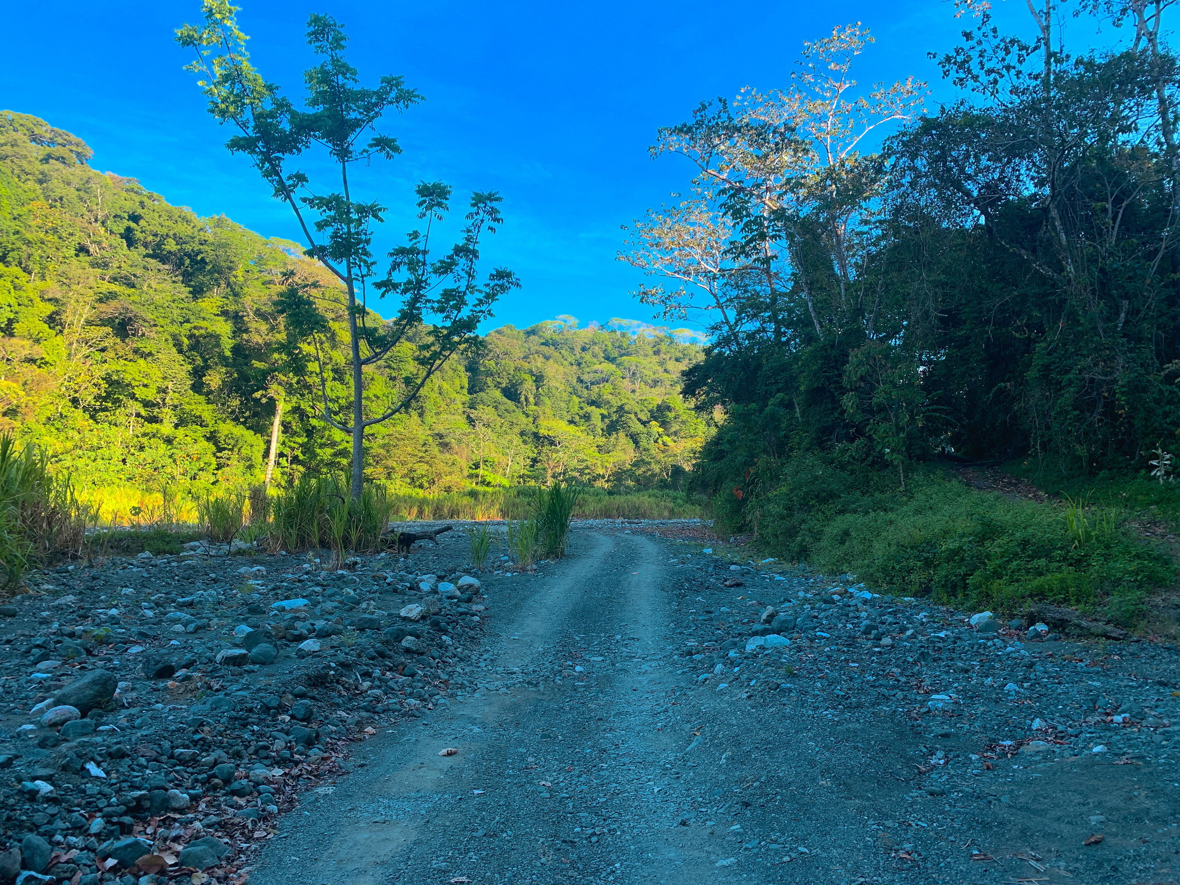 0 bed Land For Sale in Cabo Matapalo, Puntarenas - thumb 5