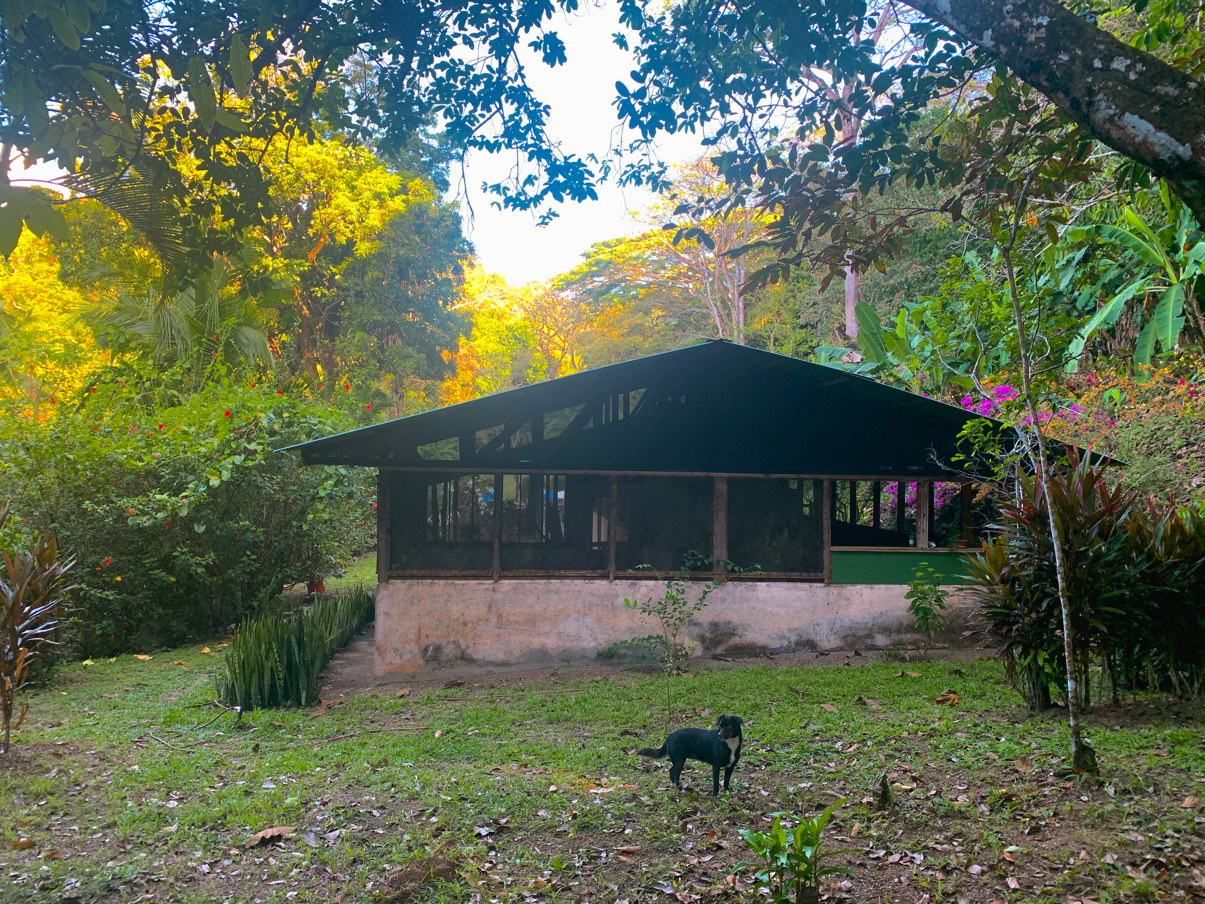 0 bed Land For Sale in Cabo Matapalo, Puntarenas - thumb 7