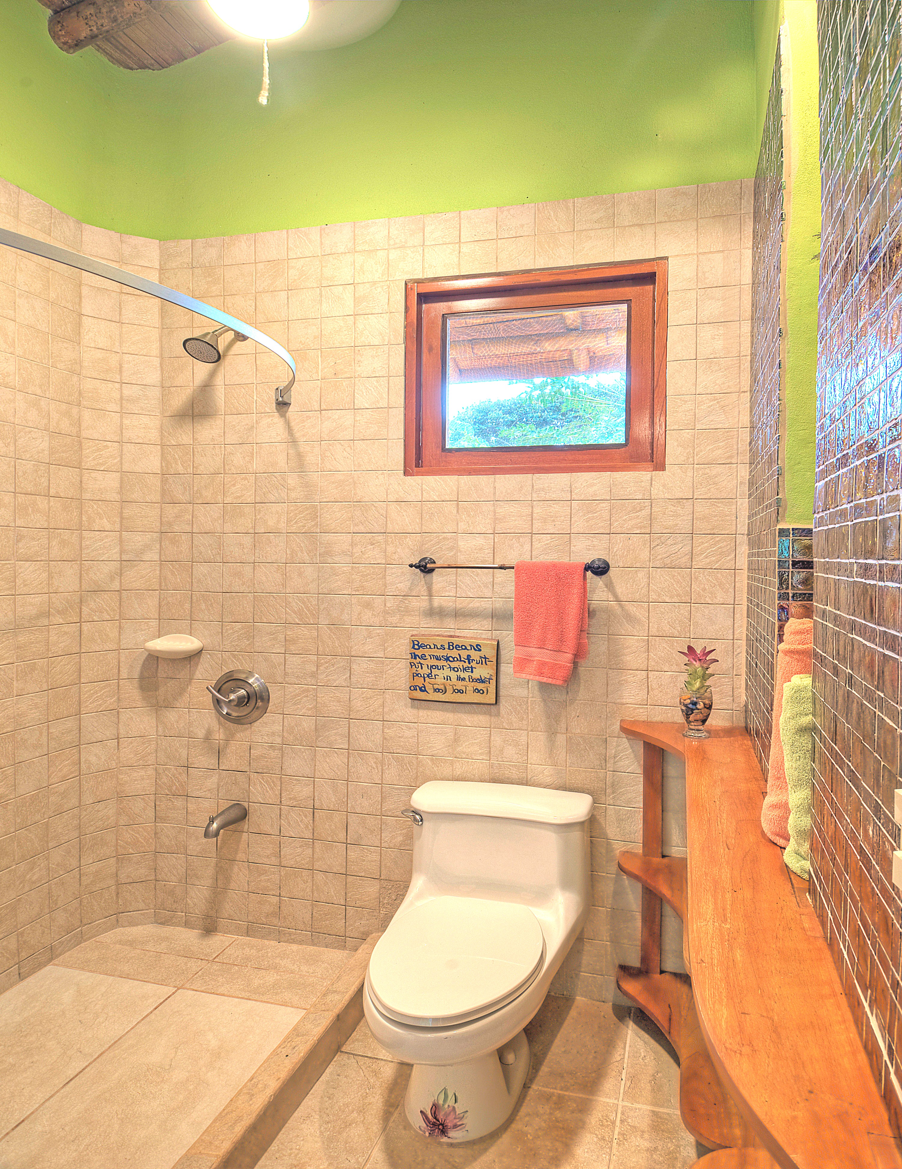 7 bed Single Family Homes For Sale in Dominical, Puntarenas - thumb 24