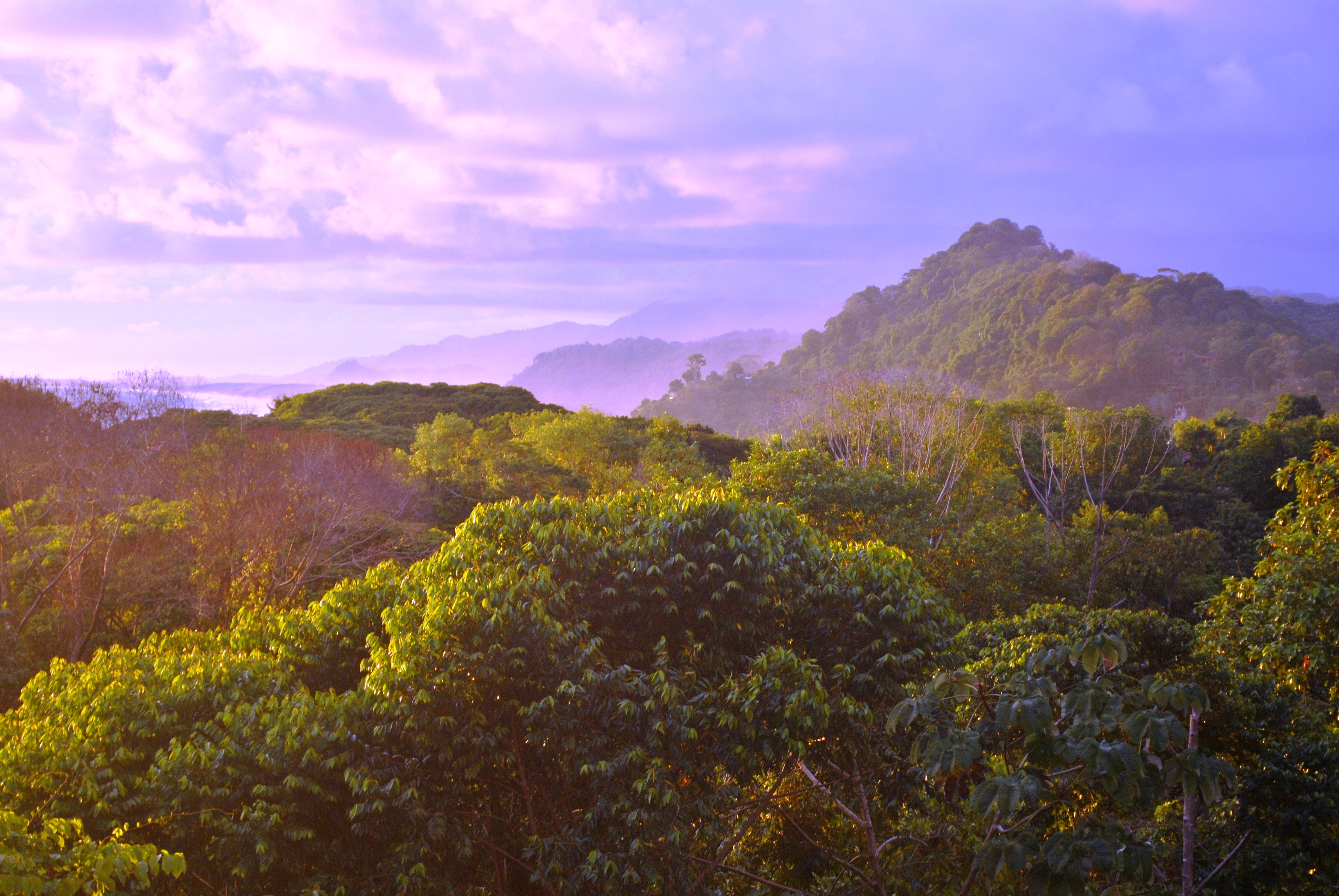 7 bed Single Family Homes For Sale in Dominical, Puntarenas - thumb 26