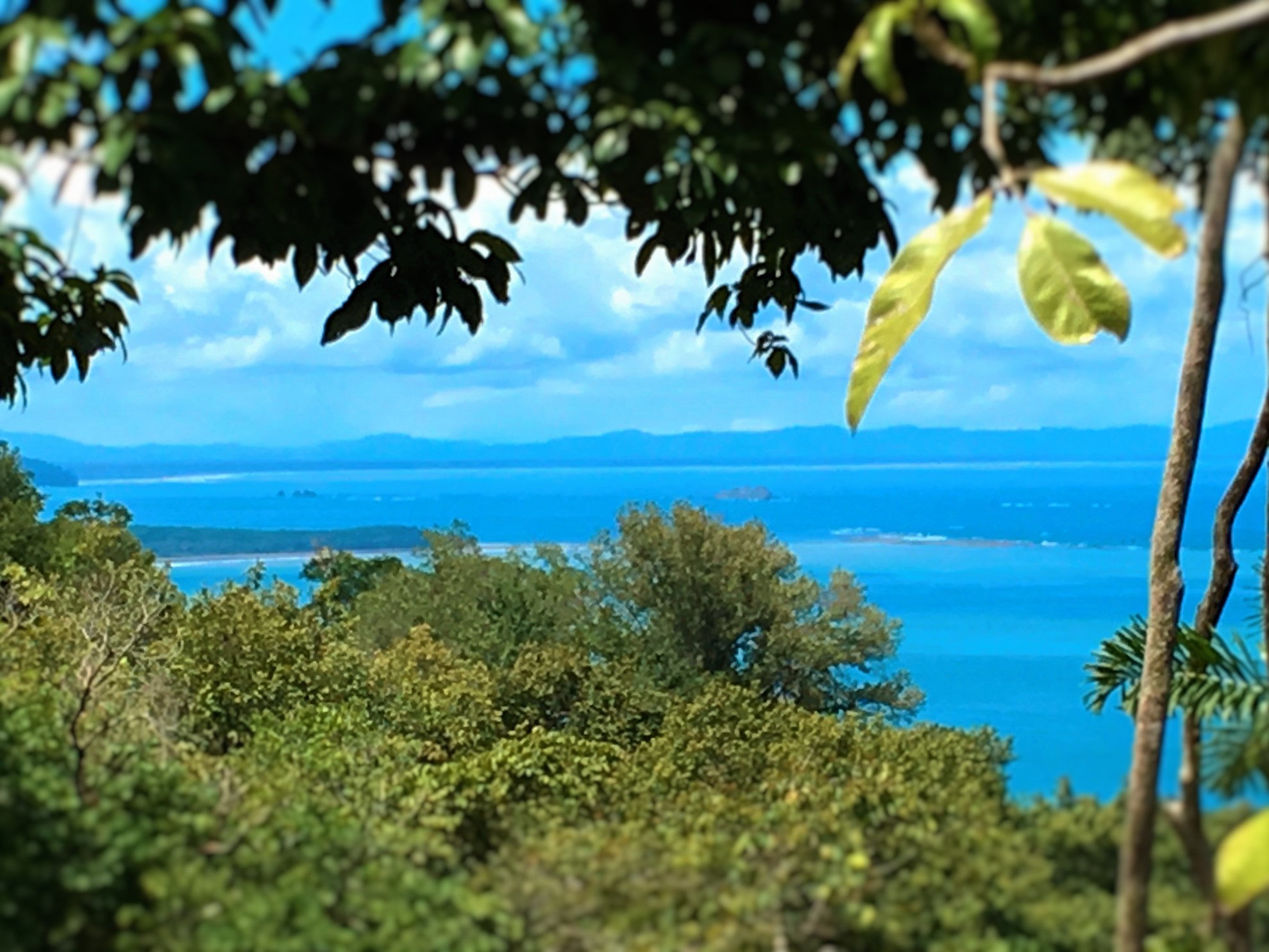 3 bed Single Family Homes For Sale in Dominical, Puntarenas - thumb 17