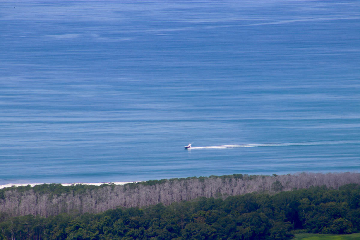0 bed Land For Sale in Dominical, Puntarenas - thumb 21