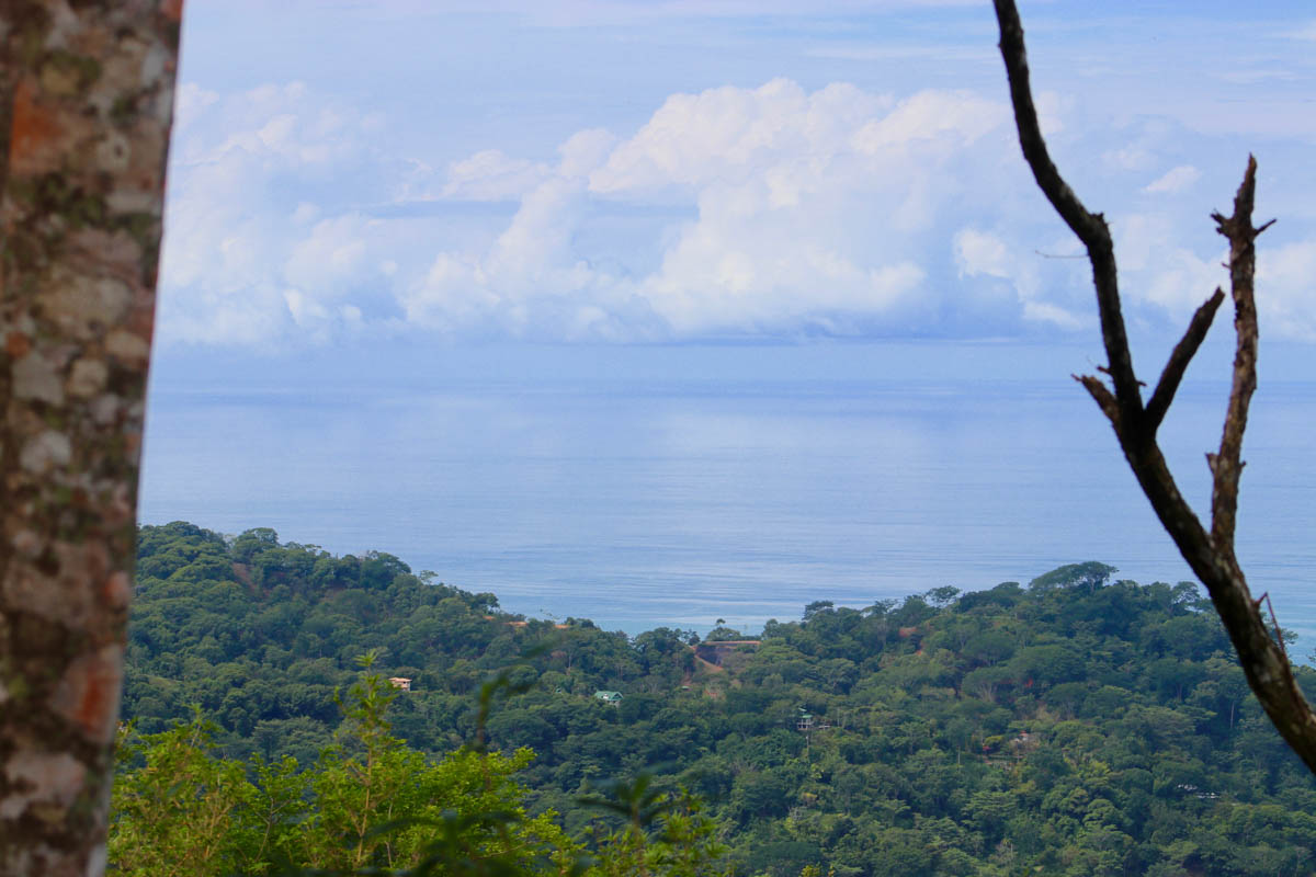 0 bed Land For Sale in Dominical, Puntarenas - thumb 17