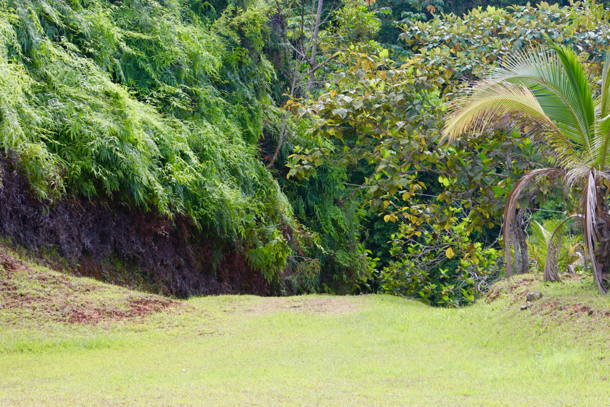 0 bed Land For Sale in Dominical, Puntarenas - thumb 18