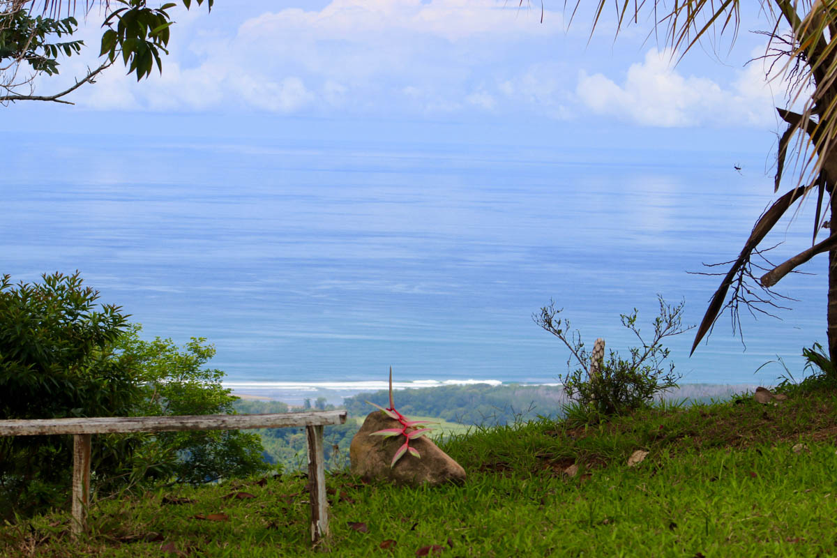 0 bed Land For Sale in Dominical, Puntarenas - thumb 20
