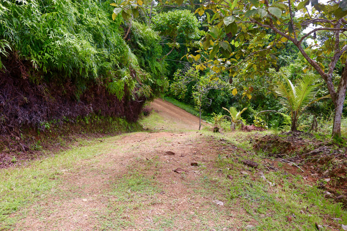 0 bed Land For Sale in Dominical, Puntarenas - thumb 22