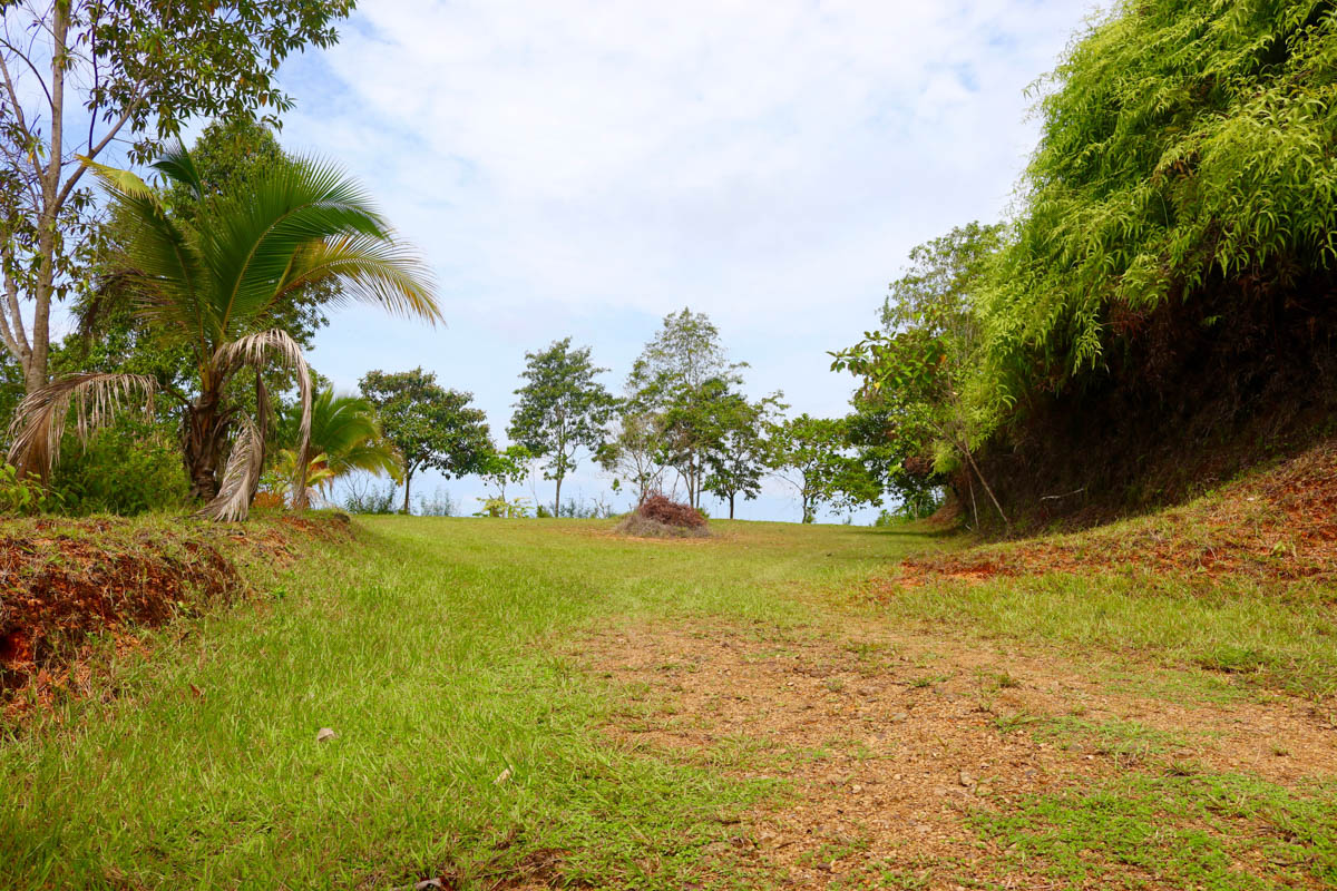 0 bed Land For Sale in Dominical, Puntarenas - thumb 23