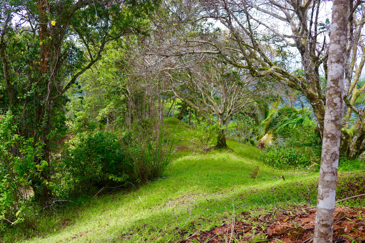 0 bed Land For Sale in Dominical, Puntarenas - thumb 25