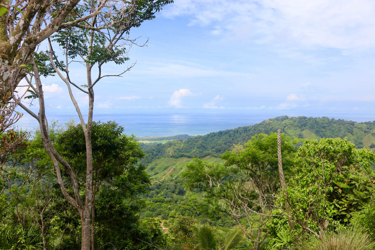 0 bed Land For Sale in Dominical, Puntarenas - thumb 26