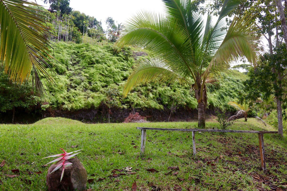 0 bed Land For Sale in Dominical, Puntarenas - thumb 28