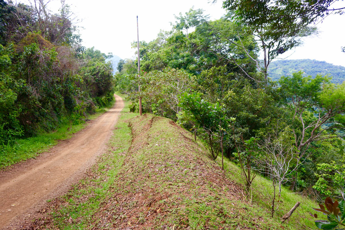0 bed Land For Sale in Dominical, Puntarenas - thumb 30