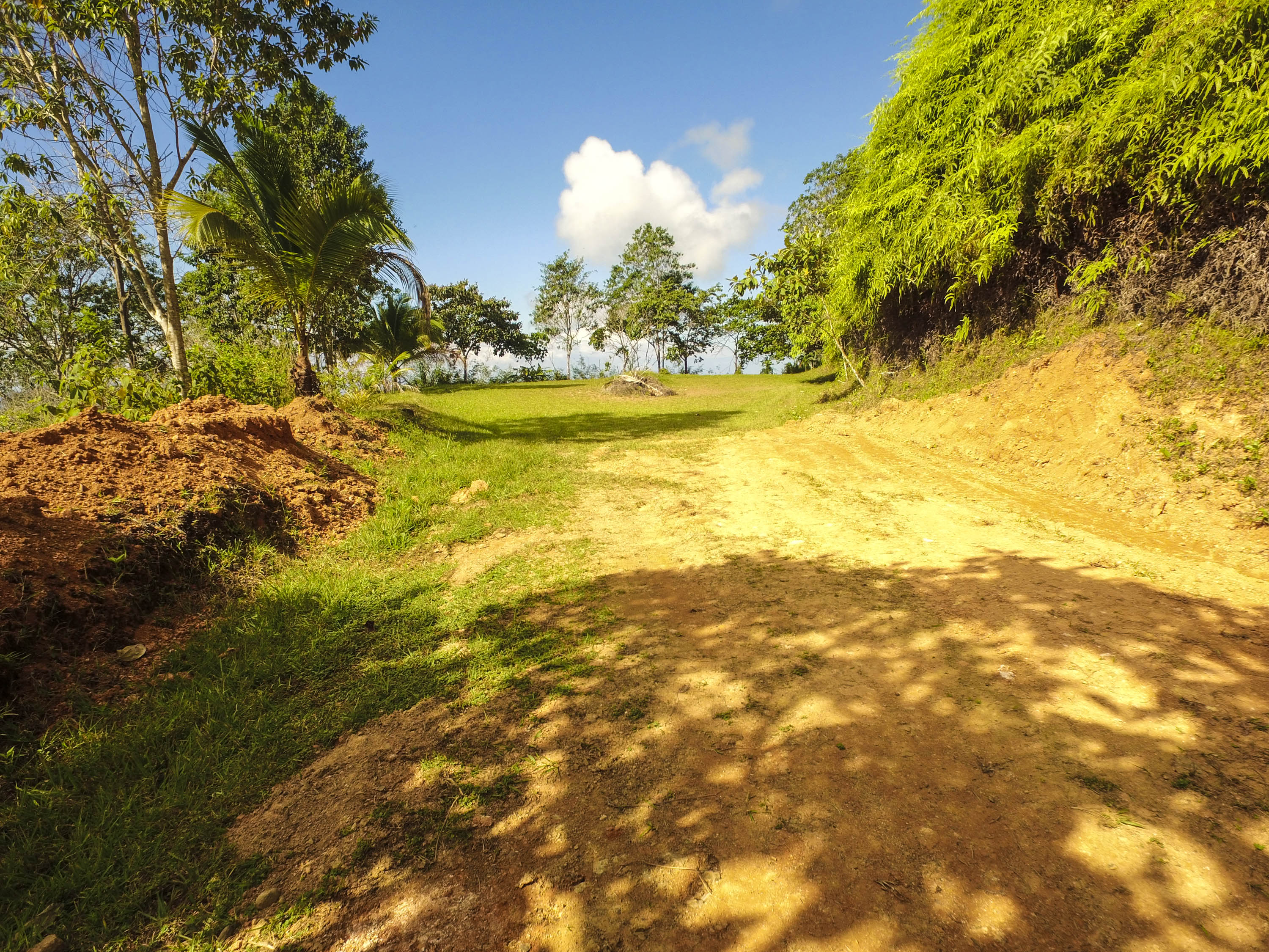 0 bed Land For Sale in Dominical, Puntarenas - thumb 16