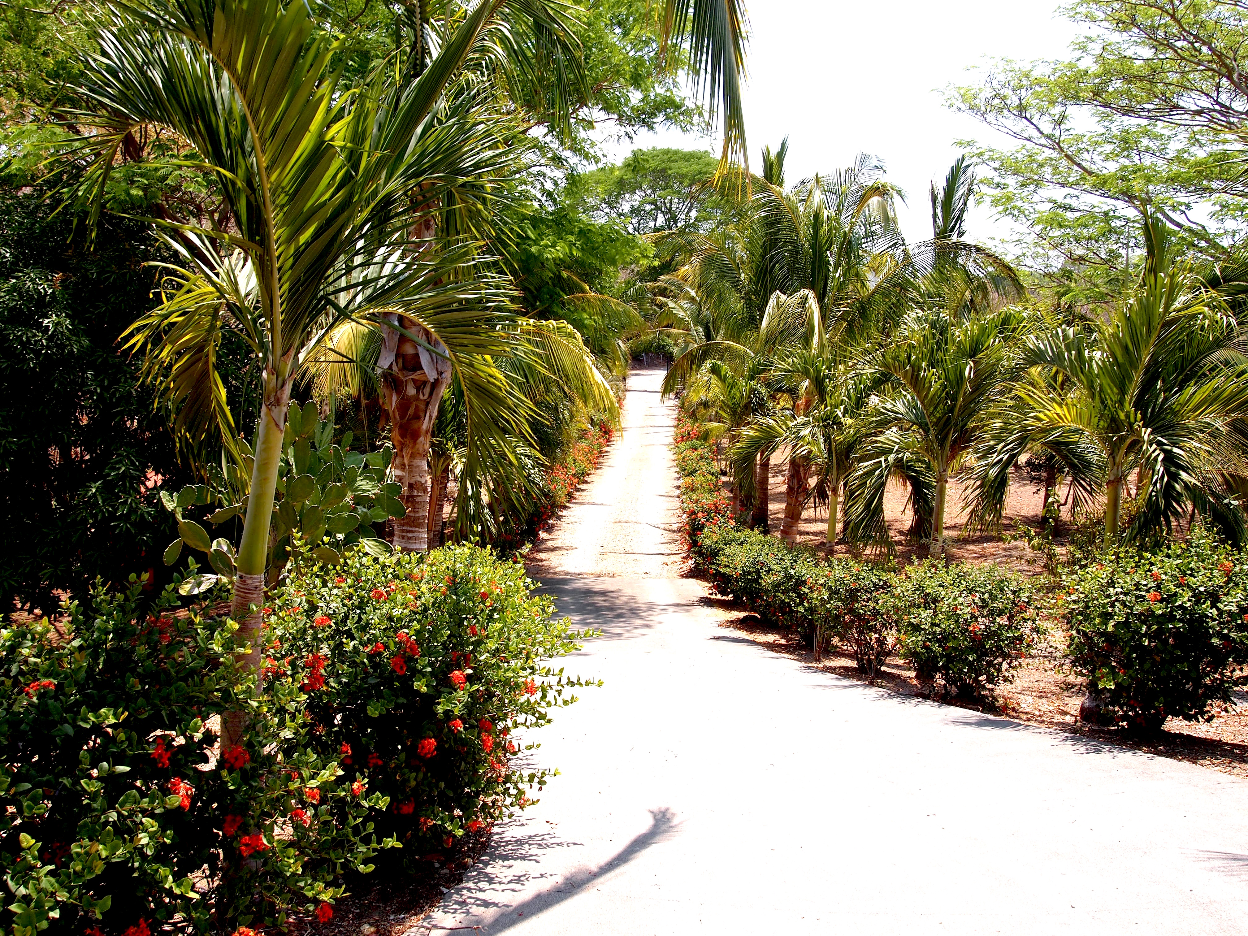 4 bed Single Family Homes For Sale in Samara, Guanacaste - thumb 15