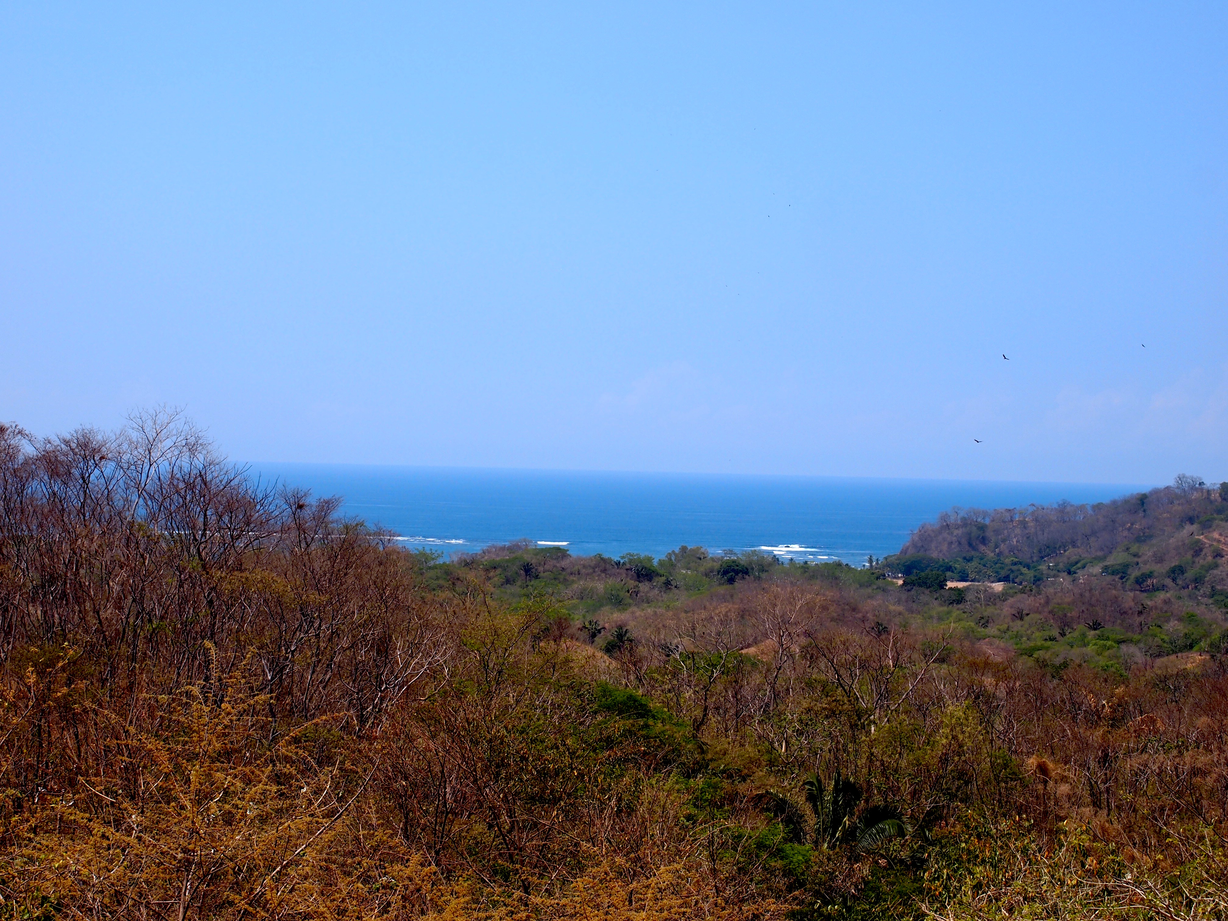 4 bed Single Family Homes For Sale in Samara, Guanacaste - thumb 14