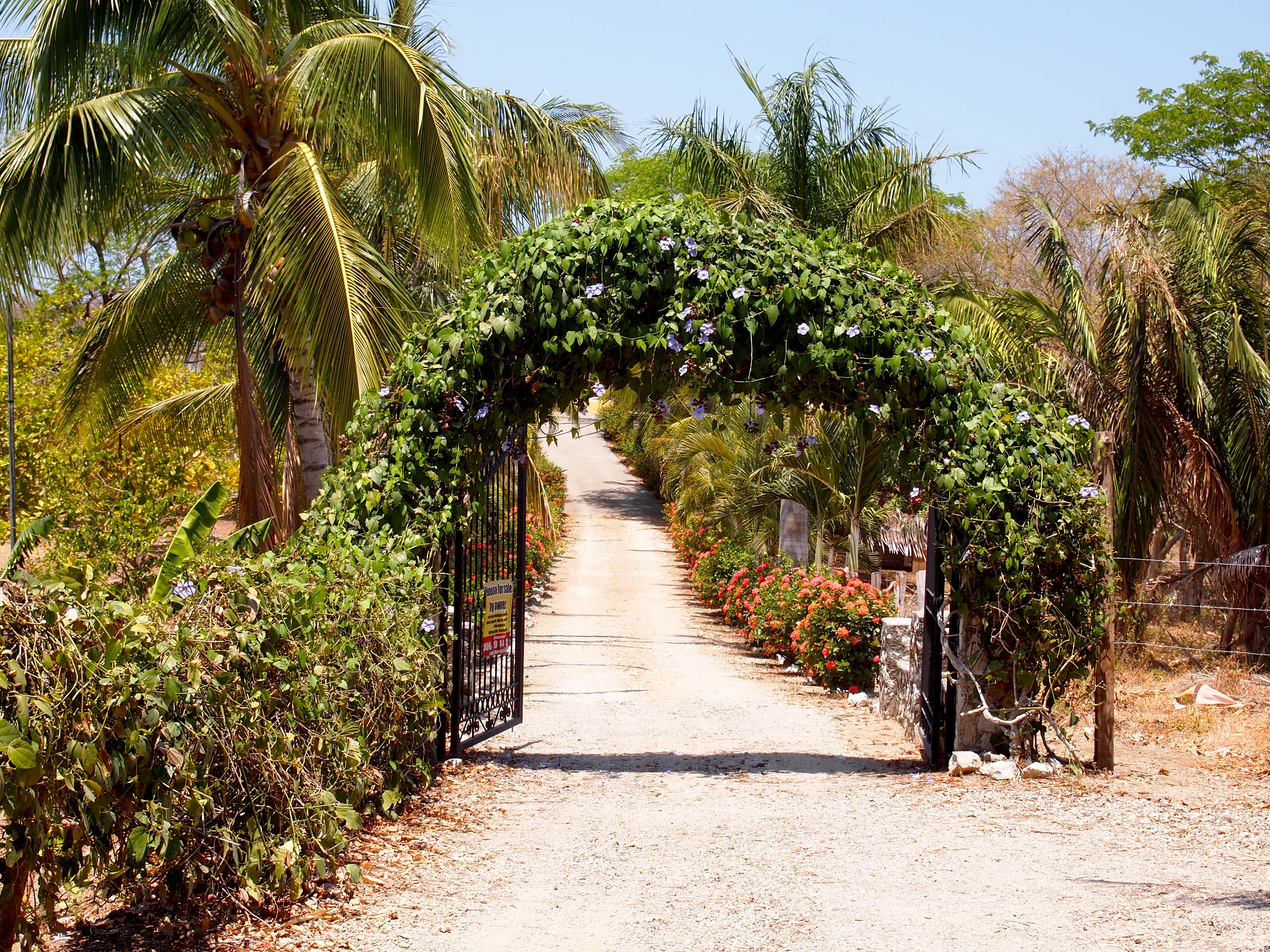 4 bed Single Family Homes For Sale in Samara, Guanacaste - thumb 7