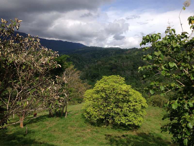 0 bed Land For Sale in Dominical, Puntarenas - 1