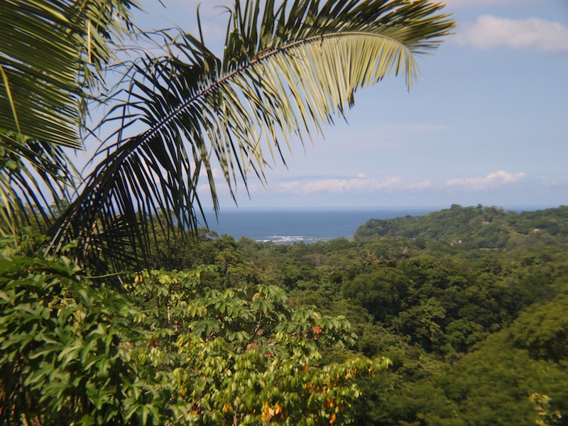 0 bed Land For Sale in Samara, Guanacaste - thumb 5