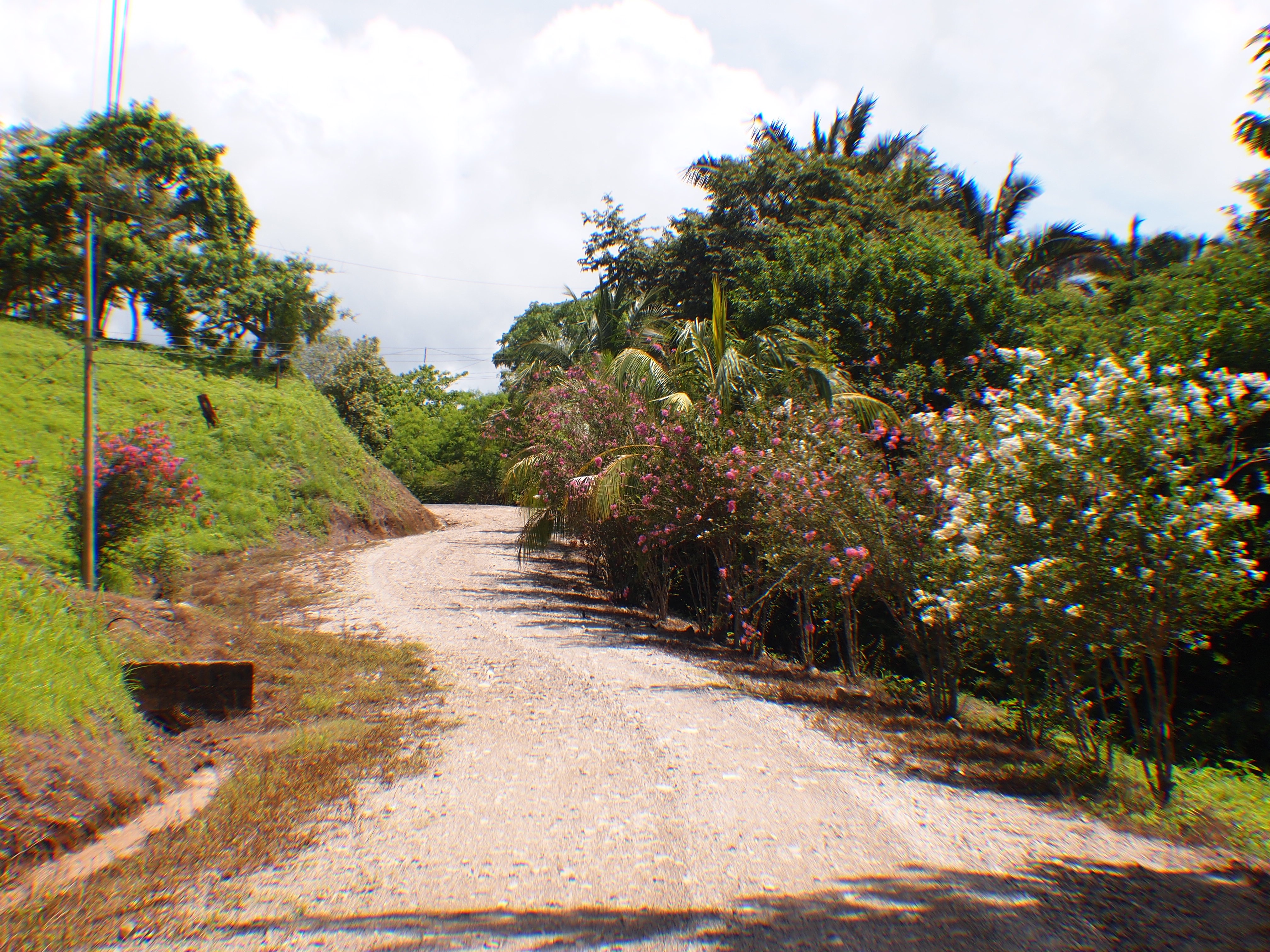 0 bed Land For Sale in Samara, Guanacaste - thumb 3