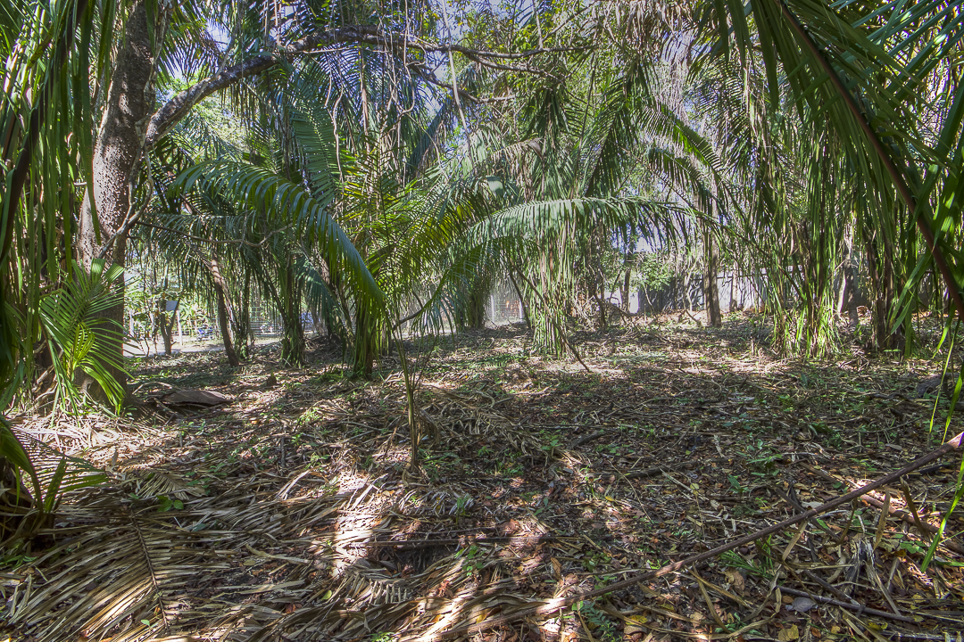 0 bed Land For Sale in Nosara, Guanacaste - thumb 1
