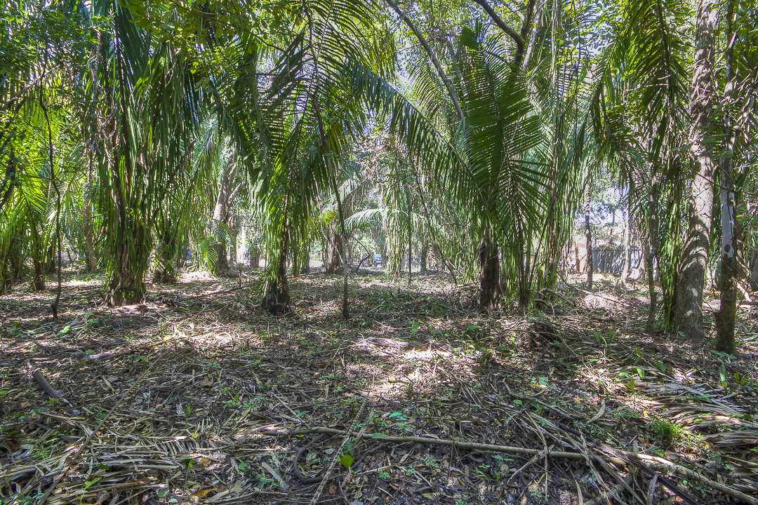 0 bed Land For Sale in Nosara, Guanacaste - thumb 2