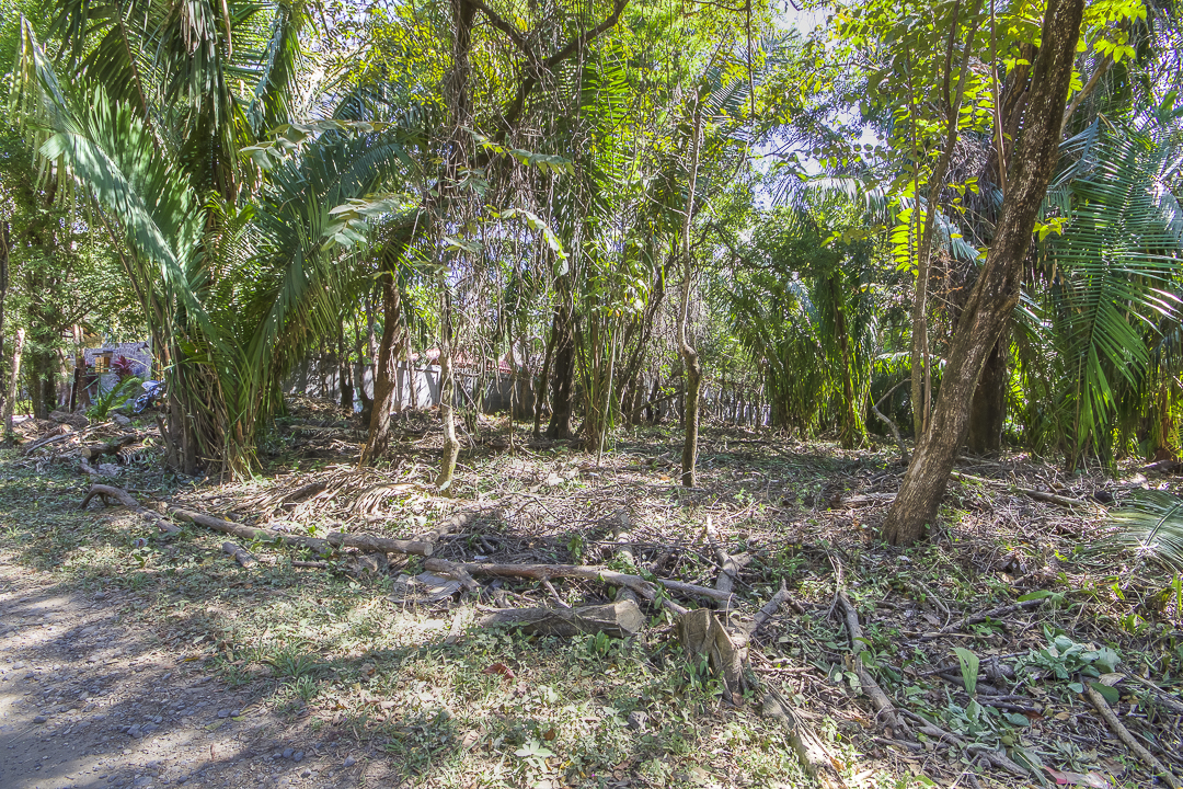 0 bed Land For Sale in Nosara, Guanacaste - thumb 5