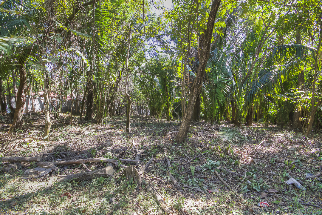 0 bed Land For Sale in Nosara, Guanacaste - thumb 6
