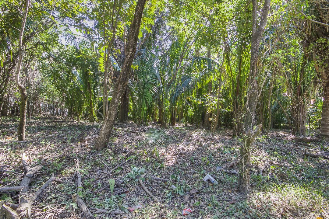 0 bed Land For Sale in Nosara, Guanacaste - thumb 7