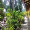  - Tropical Garden Hotel