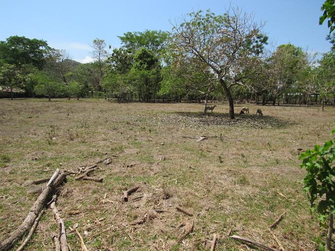 0 bed Land For Sale in Dominical, Puntarenas - thumb 18
