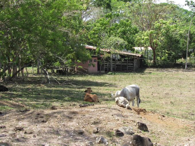 0 bed Land For Sale in Dominical, Puntarenas - thumb 19
