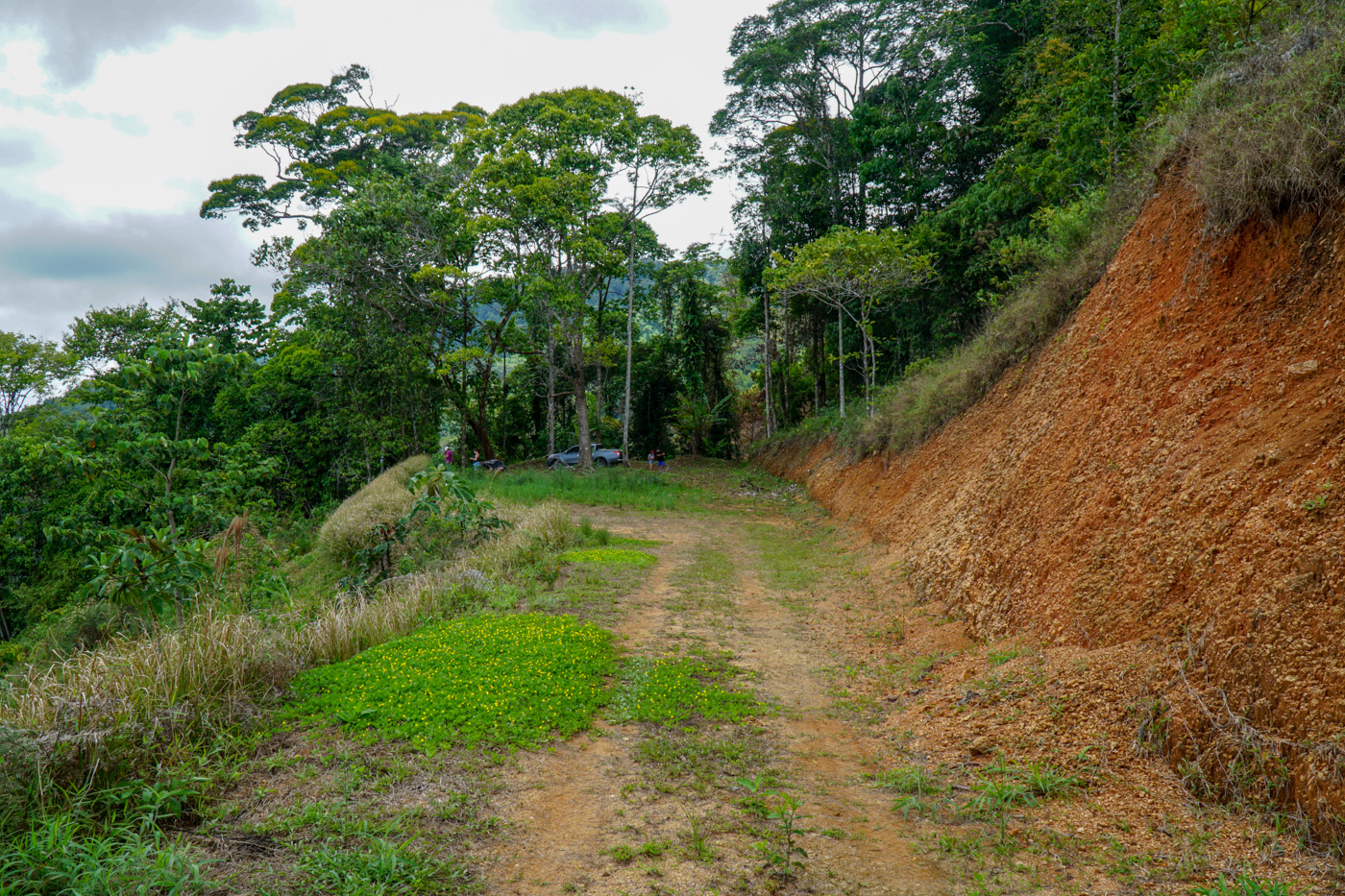 0 bed Land For Sale in Ciudad Cortes, Puntarenas - thumb 19
