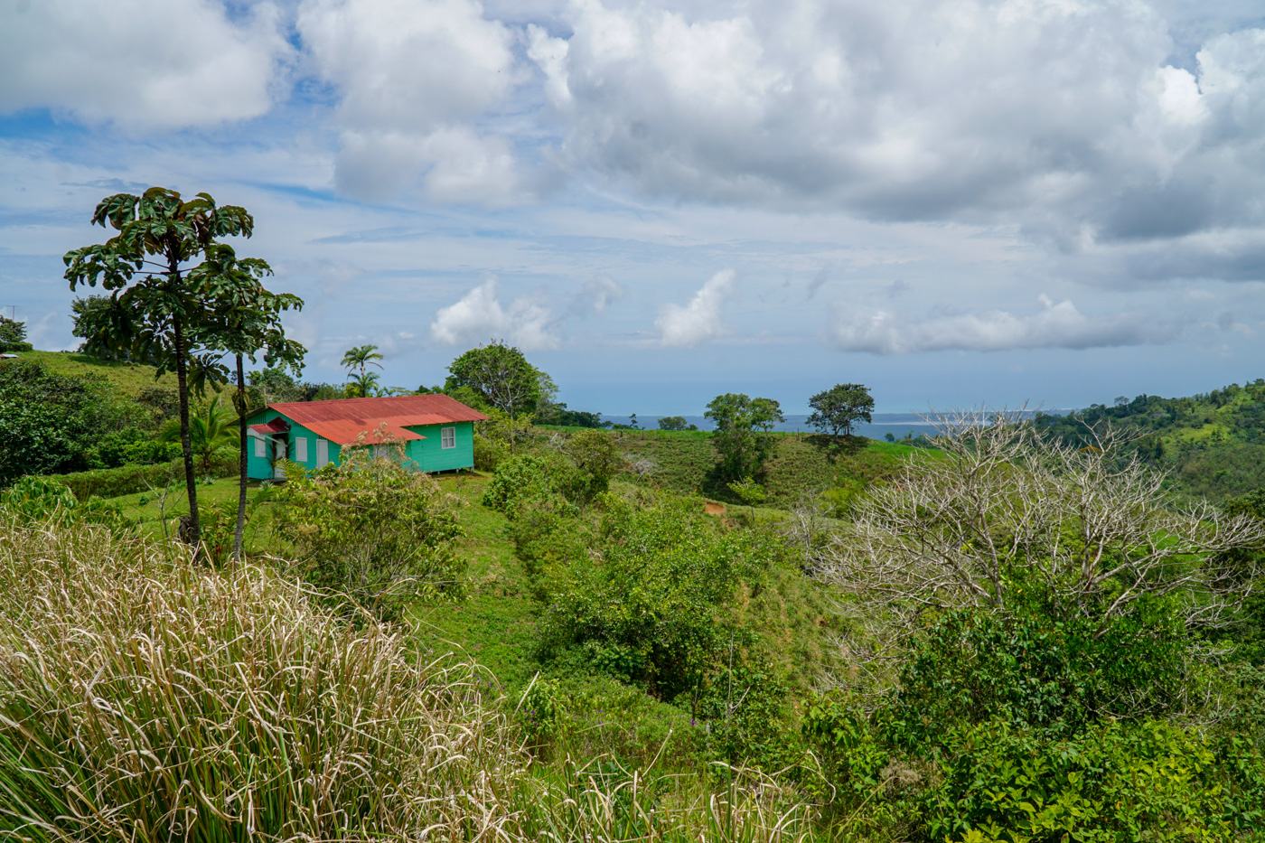 0 bed Land For Sale in Ciudad Cortes, Puntarenas - thumb 30
