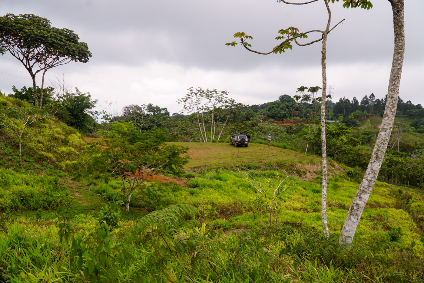 0 bed Land For Sale in Ciudad Cortes, Puntarenas - thumb 25