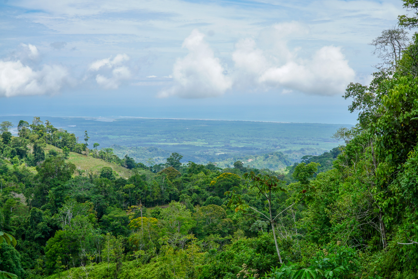 0 bed Land For Sale in Ciudad Cortes, Puntarenas - thumb 14