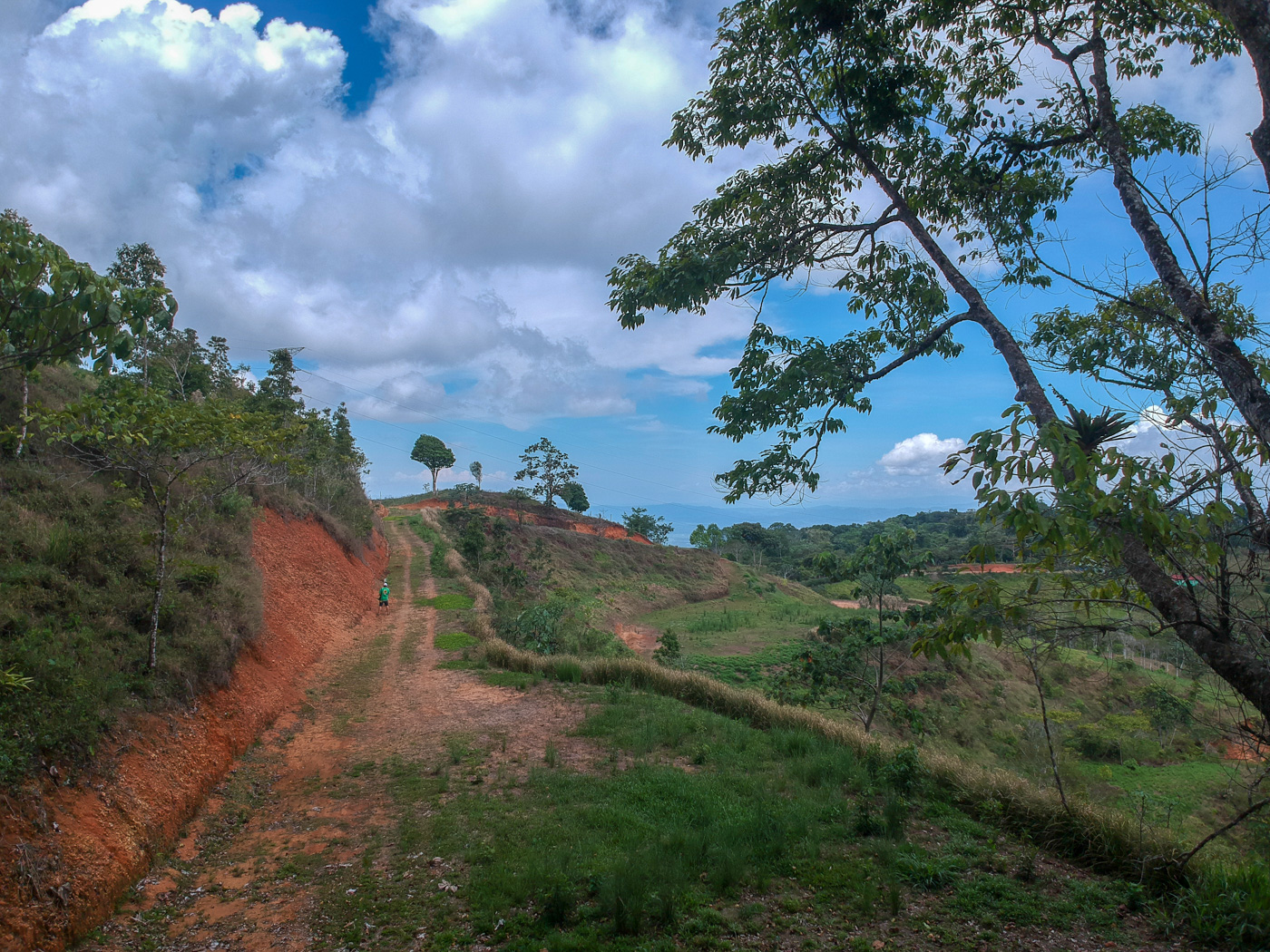 0 bed Land For Sale in Ciudad Cortes, Puntarenas - thumb 20