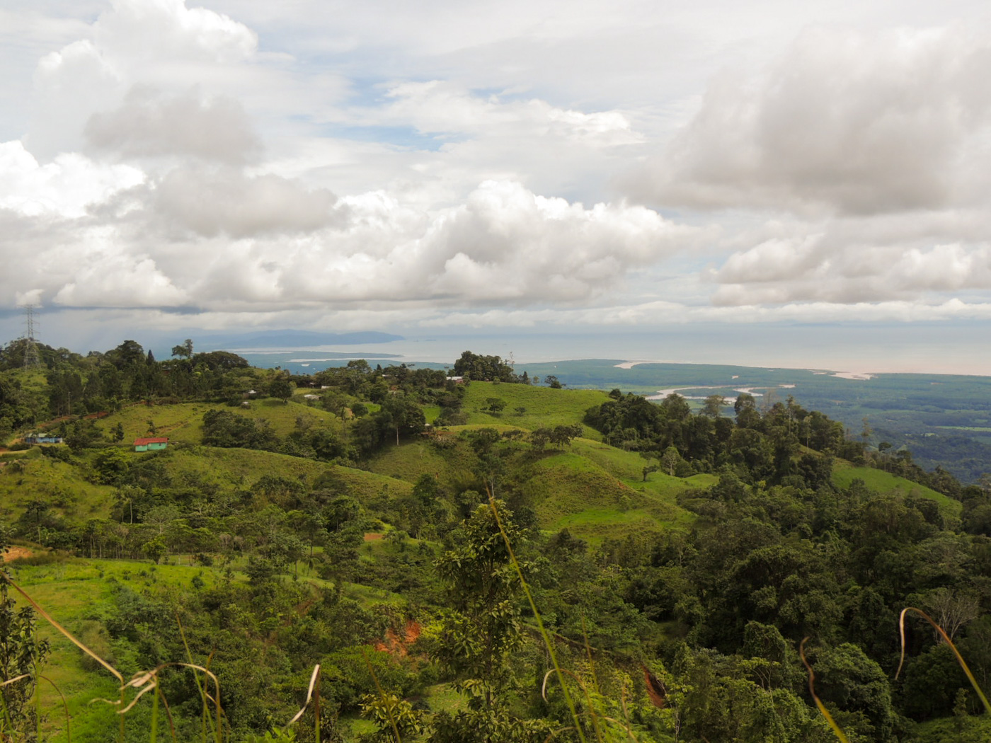 0 bed Land For Sale in Ciudad Cortes, Puntarenas - thumb 4