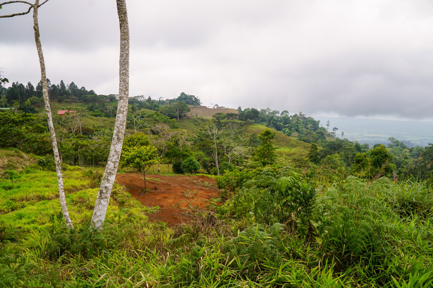 0 bed Land For Sale in Ciudad Cortes, Puntarenas - thumb 26