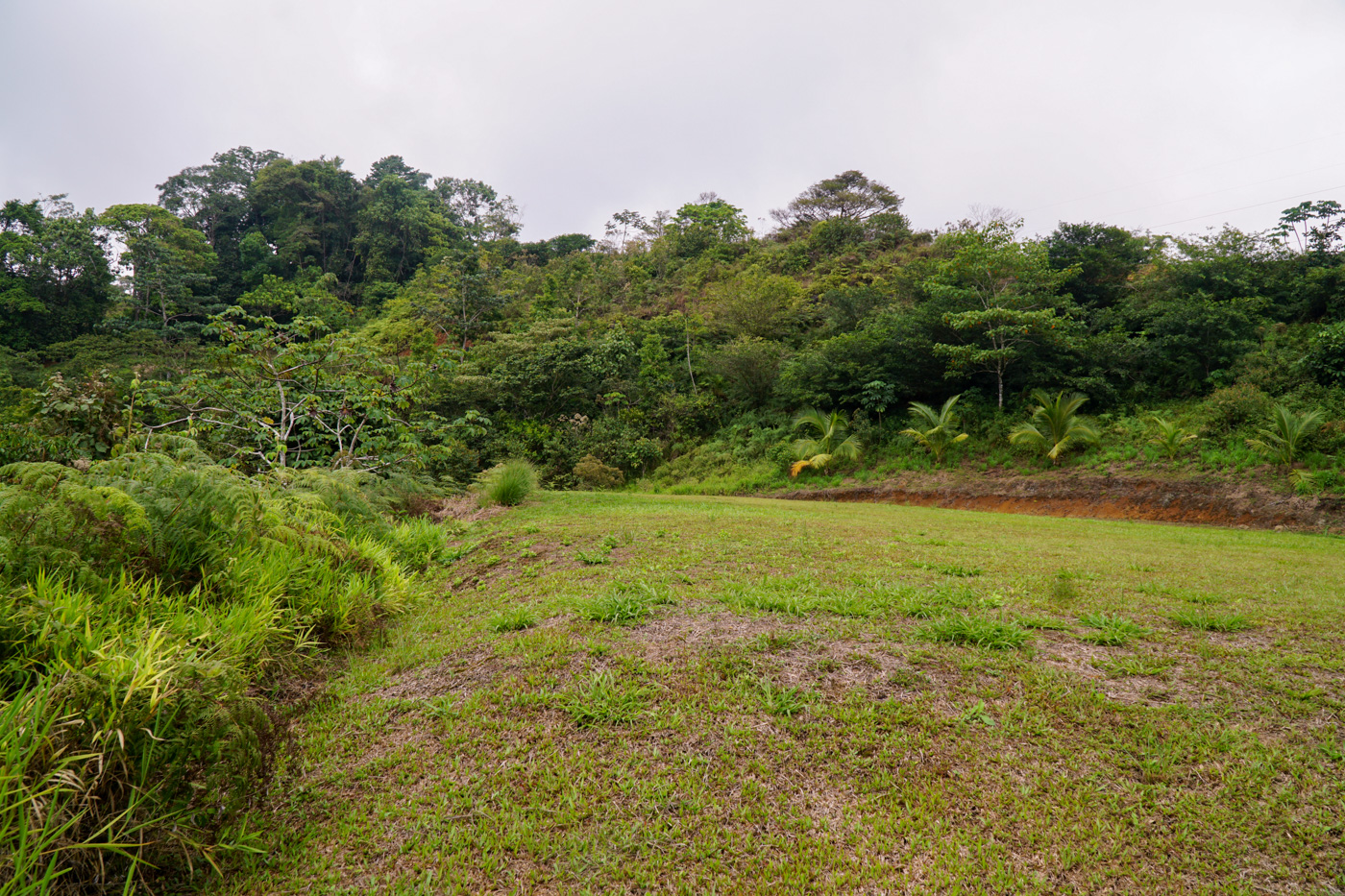 0 bed Land For Sale in Ciudad Cortes, Puntarenas - thumb 24