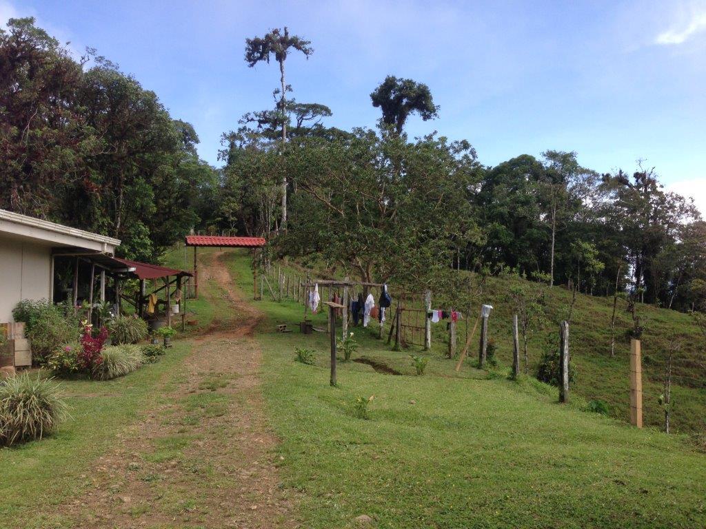 3 bed Single Family Homes For Sale in Dominical, Puntarenas - thumb 7