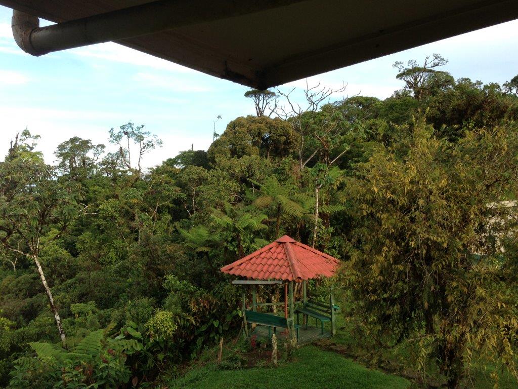 3 bed Single Family Homes For Sale in Dominical, Puntarenas - thumb 21