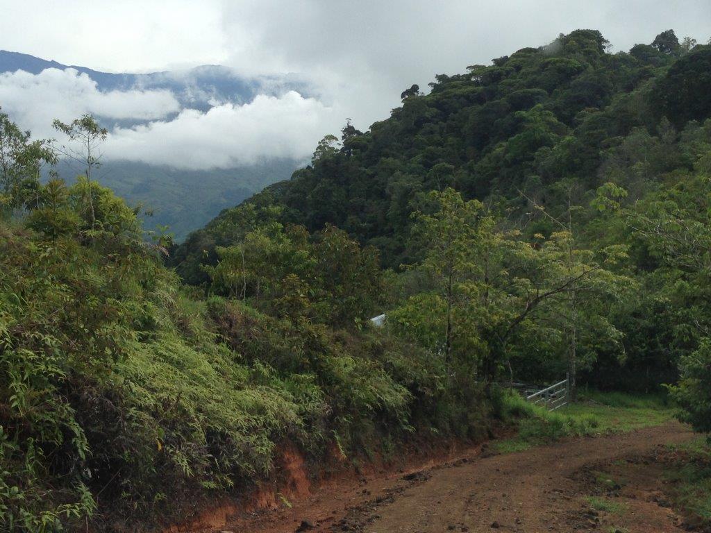 3 bed Single Family Homes For Sale in Dominical, Puntarenas - thumb 9