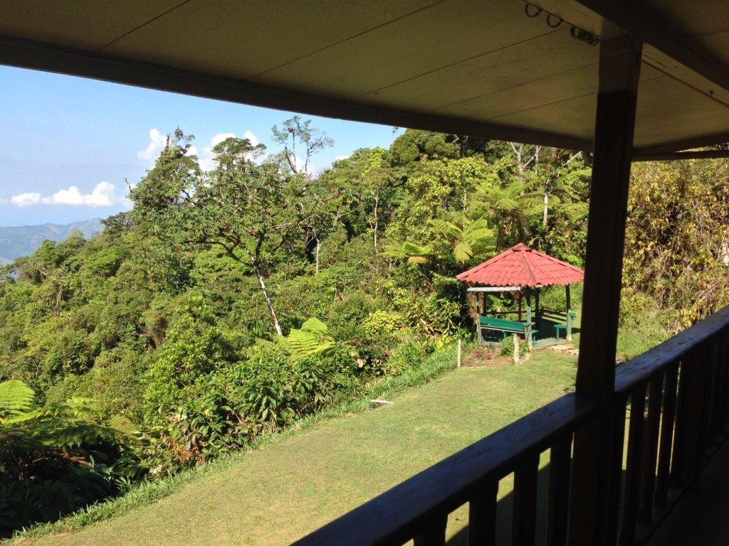 3 bed Single Family Homes For Sale in Dominical, Puntarenas - thumb 10