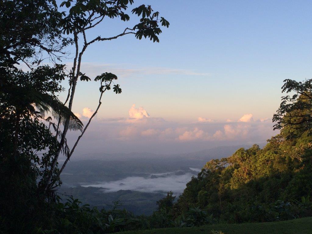 3 bed Single Family Homes For Sale in Dominical, Puntarenas - thumb 3