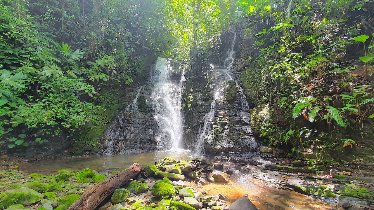 0 bed Land For Sale in Dominical, Puntarenas - thumb 1