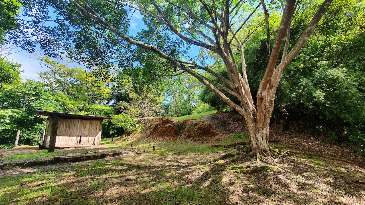 0 bed Land For Sale in Dominical, Puntarenas - thumb 10